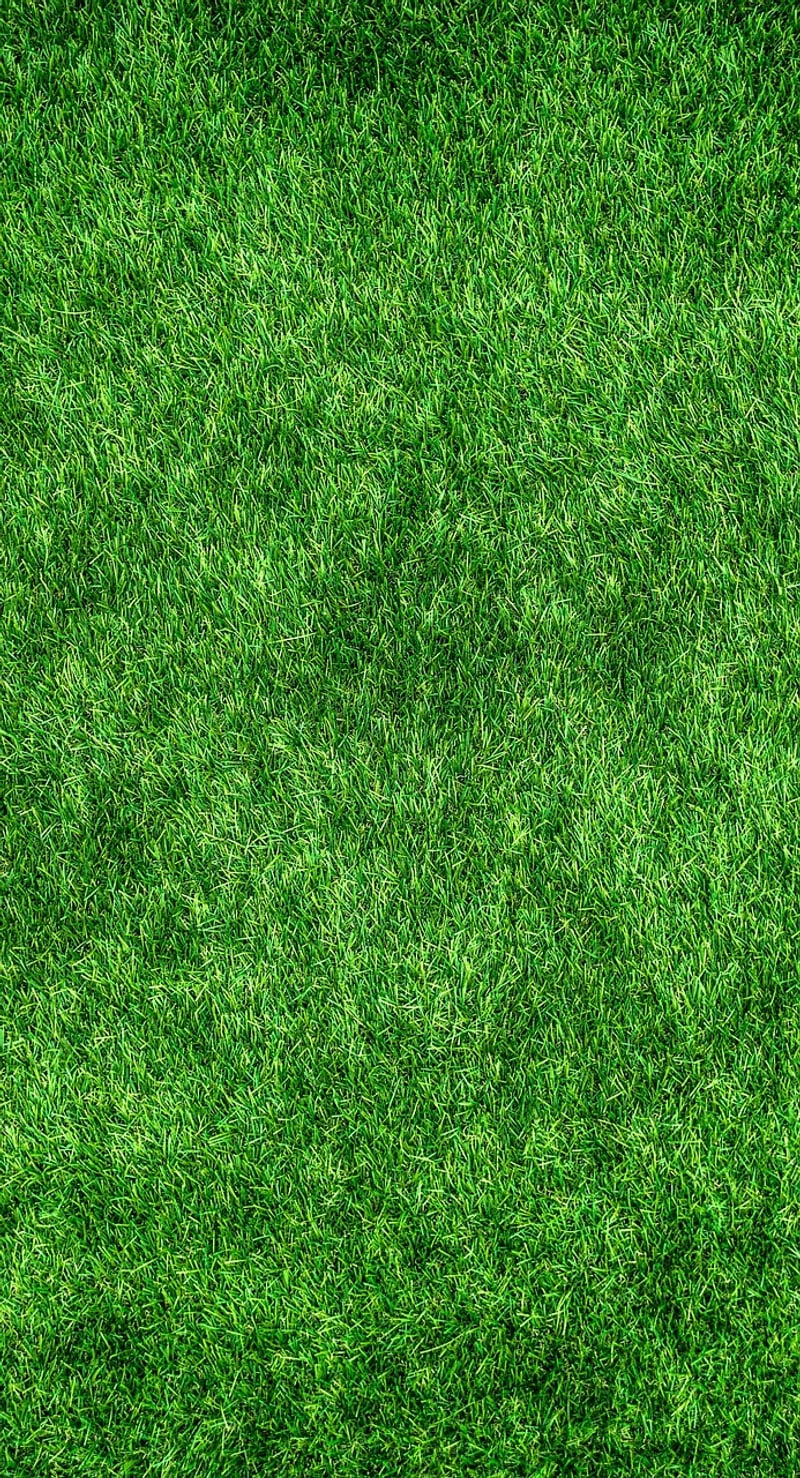 Eco-Friendly Ideas